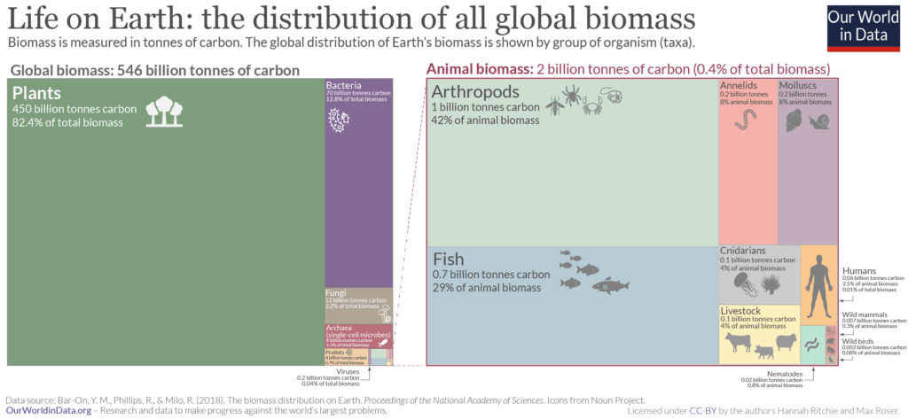 treemap-visualization-of-global-biomass-distribution